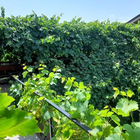 Pensiunea Lyo Două Mai Exterior foto